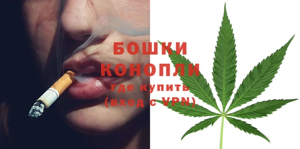 PSILOCYBIN Балахна
