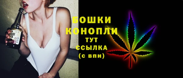 PSILOCYBIN Балахна