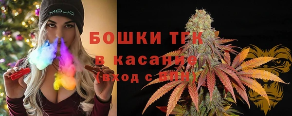 дмт Аркадак