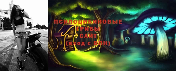 дмт Аркадак