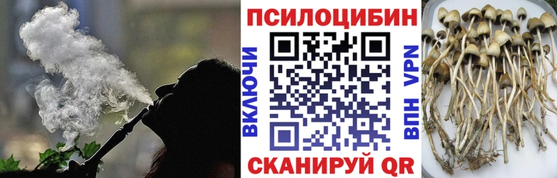 Псилоцибиновые грибы мицелий  как найти   shop наркотические препараты  Долгопрудный 